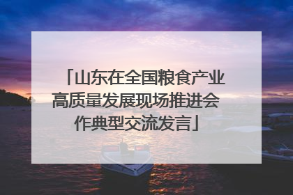 山东在全国粮食产业高质量发展现场推进会作典型交流发言