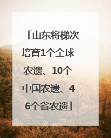 山东将梯次培育1个全球农遗、10个中国农遗、46个省农遗