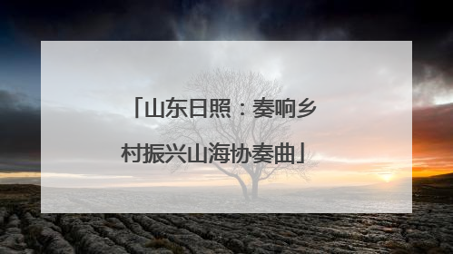 山东日照：奏响乡村振兴山海协奏曲