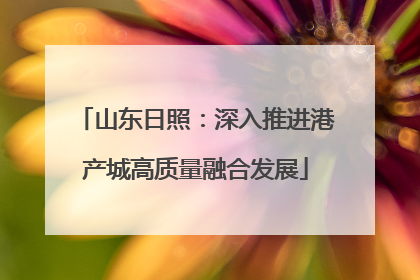 山东日照：深入推进港产城高质量融合发展