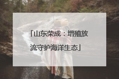 山东荣成：增殖放流守护海洋生态