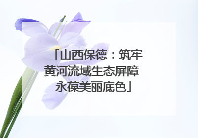 山西保德：筑牢黄河流域生态屏障 永葆美丽底色