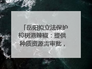岳阳拟立法保护樟树港辣椒：提供种质资源需审批，违规最高罚5万