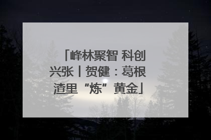 峰林聚智 科创兴张丨贺健：葛根渣里“炼”黄金