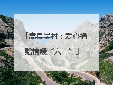 嵩县吴村：爱心捐赠情暖“六一”