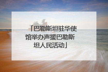 巴勒斯坦驻华使馆举办声援巴勒斯坦人民活动
