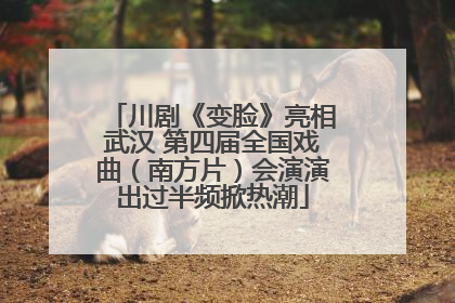 川剧《变脸》亮相武汉 第四届全国戏曲（南方片）会演演出过半频掀热潮