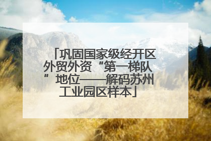 巩固国家级经开区外贸外资“第一梯队”地位——解码苏州工业园区样本