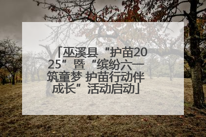 巫溪县“护苗2025”暨“缤纷六一筑童梦 护苗行动伴成长”活动启动