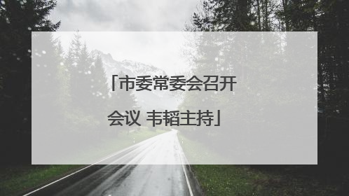 市委常委会召开会议 韦韬主持