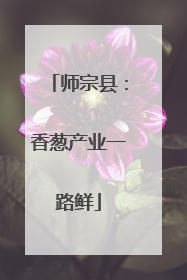 师宗县：香葱产业一路鲜