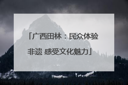 广西田林：民众体验非遗 感受文化魅力