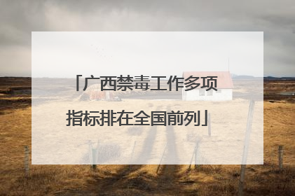 广西禁毒工作多项指标排在全国前列