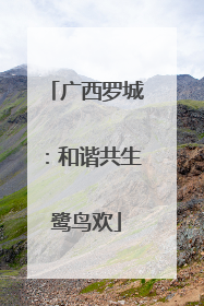 广西罗城：和谐共生鹭鸟欢