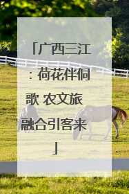 广西三江：荷花伴侗歌 农文旅融合引客来