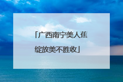 广西南宁美人蕉绽放美不胜收