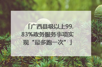 广西县级以上99.83%政务服务事项实现“最多跑一次”