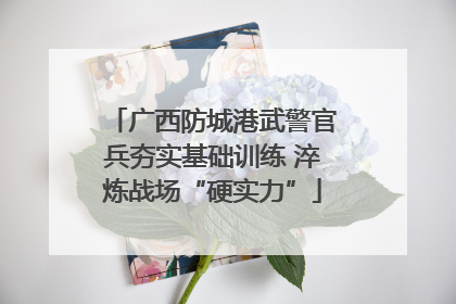 广西防城港武警官兵夯实基础训练 淬炼战场“硬实力”