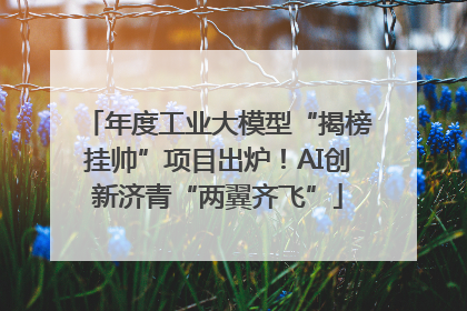 年度工业大模型“揭榜挂帅”项目出炉！AI创新济青“两翼齐飞”