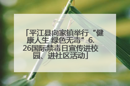 平江县向家镇举行“健康人生 绿色无毒”6.26国际禁毒日宣传进校园、进社区活动