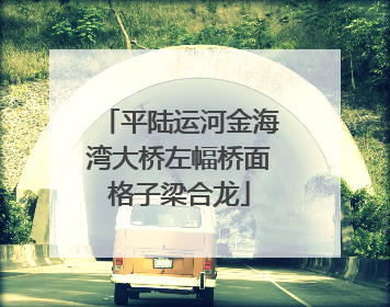 平陆运河金海湾大桥左幅桥面格子梁合龙