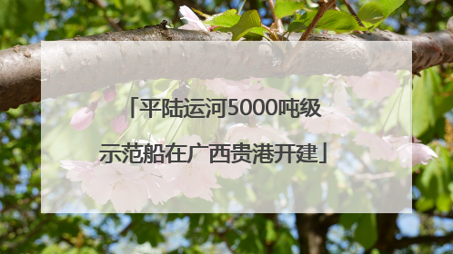 平陆运河5000吨级示范船在广西贵港开建