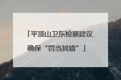 平顶山卫东检察建议确保“罚当其错”