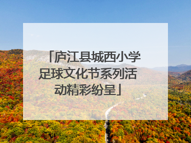 庐江县城西小学足球文化节系列活动精彩纷呈