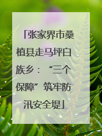 张家界市桑植县走马坪白族乡：“三个保障”筑牢防汛安全堤