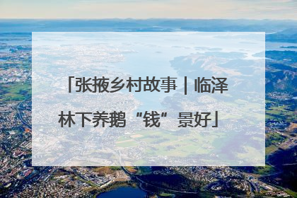 张掖乡村故事｜临泽林下养鹅“钱”景好