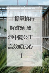 提级执行解难题 漯河中院公正高效暖民心