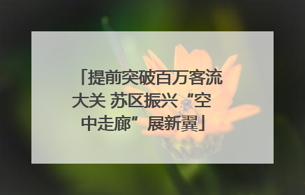 提前突破百万客流大关 苏区振兴“空中走廊”展新翼