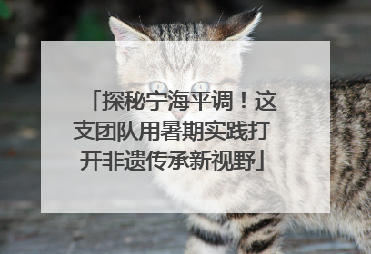 探秘宁海平调！这支团队用暑期实践打开非遗传承新视野