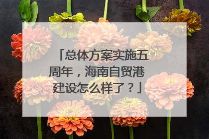 总体方案实施五周年，海南自贸港建设怎么样了？