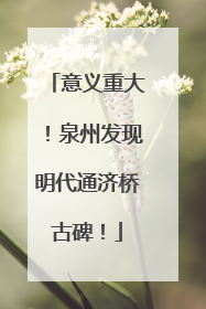 意义重大！泉州发现明代通济桥古碑！