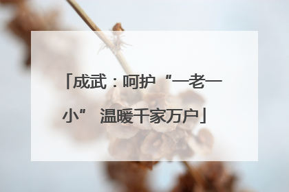 成武：呵护“一老一小” 温暖千家万户