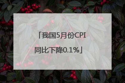我国5月份CPI同比下降0.1%