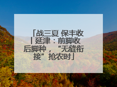 战三夏 保丰收丨延津：前脚收 后脚种，“无缝衔接”抢农时