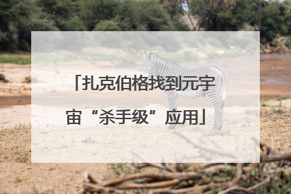 扎克伯格找到元宇宙“杀手级”应用