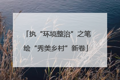 执“环境整治”之笔 绘“秀美乡村”新卷