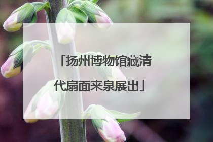 扬州博物馆藏清代扇面来泉展出