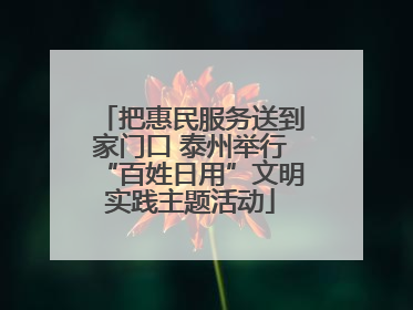 把惠民服务送到家门口 泰州举行“百姓日用”文明实践主题活动