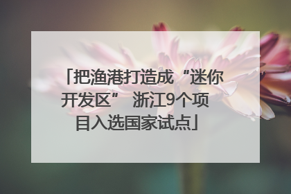 把渔港打造成“迷你开发区” 浙江9个项目入选国家试点