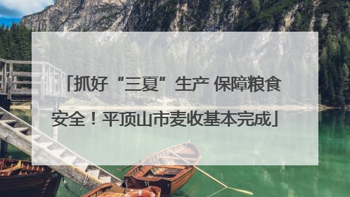 抓好“三夏”生产 保障粮食安全！平顶山市麦收基本完成