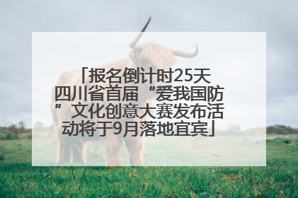 报名倒计时25天 四川省首届“爱我国防”文化创意大赛发布活动将于9月落地宜宾
