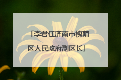 李君任济南市槐荫区人民政府副区长