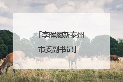 李晖履新泰州市委副书记