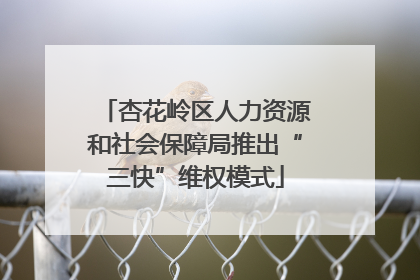 杏花岭区人力资源和社会保障局推出“三快”维权模式