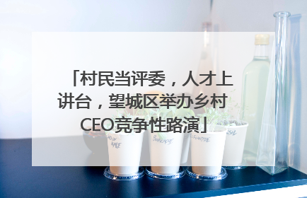 村民当评委，人才上讲台，望城区举办乡村CEO竞争性路演