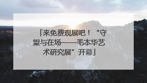 来免费观展吧！“守望与在场——毛本华艺术研究展”开幕